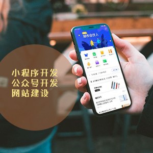 成为合格的小程序软件开发公司需要哪些条件和因素